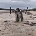 Luke Macleod - Facebook