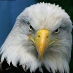 Luke Marvel - @marvel.luke - Instagram