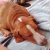 Luke Mayo - @luke.mayo8 - TikTok