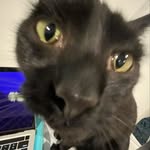 Luke McCoy - @luke__mccoy_ - Instagram