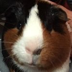 Luke Mcdaniel - @luke20070 - Instagram