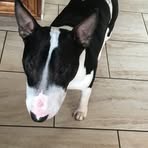 Luke McElwee - Facebook