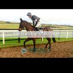 Luke Mcguinness - @mcguinness_luke - Instagram