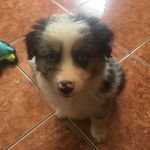 Luke Skywalker Medrano - @luke_skywalker_m - Instagram