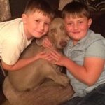 Luke Mellor - @luke_mellor_ - Instagram