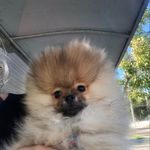 Sueli Mello - @luke_mello_scar - Instagram