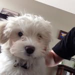 Luke - @luke_mertz05 - Instagram