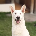 Luke Mertz - @lukemertz_ - Instagram
