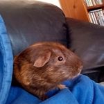 Luke Messenger - @lukemessenger5 - Instagram