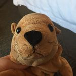 Luke Maxwell Messer - @lukemesser60 - Instagram