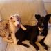 Luke Milner - Facebook