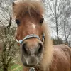 Luki/Monte - @luke.monte - TikTok