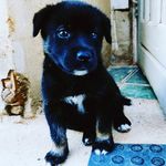 @_luke.monteiro_ - Instagram