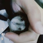 @luke_monteiro_02_ - Instagram