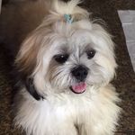 Luke Monteiro - @monteiro.luke - Instagram