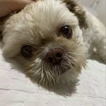 Luke - @monteiro_luke - Instagram