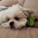 @lukemonteiro23 - Instagram