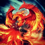 Luke Montgomery - @luke.montgomery.3705 - Instagram