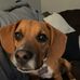 Luke Montgomery - Facebook