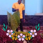 Luke Moses - Facebook