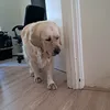 Lucas Neumann - @lucas.neumann49 - TikTok