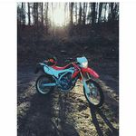 Luke - @luke.neumann - Instagram