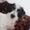 luke o choinho - @lukeneumann3 - TikTok
