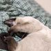Luke Nielson - Facebook