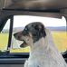 Luke Nieman - Facebook