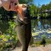 Luke Nieman - Facebook