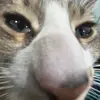 Nott_Luke - @nott_luke3 - TikTok