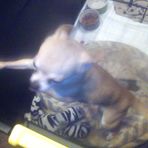 Luke Nystrom - Facebook