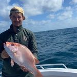 Luke Oakes - @luke_oakes - Instagram