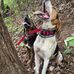 Luke Odom - Facebook