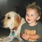Luke Olson - @luke0lson - Instagram