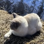 Luke Olson - Facebook