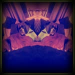 luke_pace_ - @luke_pace_ - Instagram
