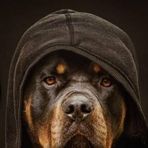 Luke Pacheco - Facebook