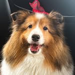 Luke P. - @luke_parrish_ - Instagram