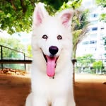 Luke ( Luke José/Zé) - @lukepastorbranco - Instagram