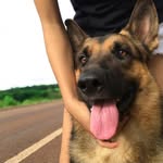 luke - @luke_pastor_alemao - Instagram