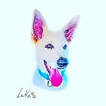 Luke - @luke_pastor_suico - Instagram
