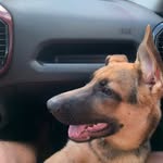 Luke - @luke_pastoralemaopb - Instagram