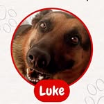 @luke_pastor2024 - Instagram