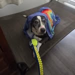 Luke Peebles - @lukerpeebles - Instagram