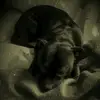 L✞ - @perus_luke - TikTok