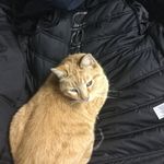 Luke Pike - @ltkpike2050 - Instagram