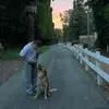 luke👾 - @luke.prestonn - TikTok