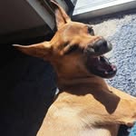 Luke Pugh - @pughluke1 - Instagram