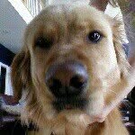 @luke_rauschenberher - Instagram